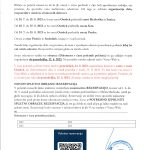 Poletna organizacija
